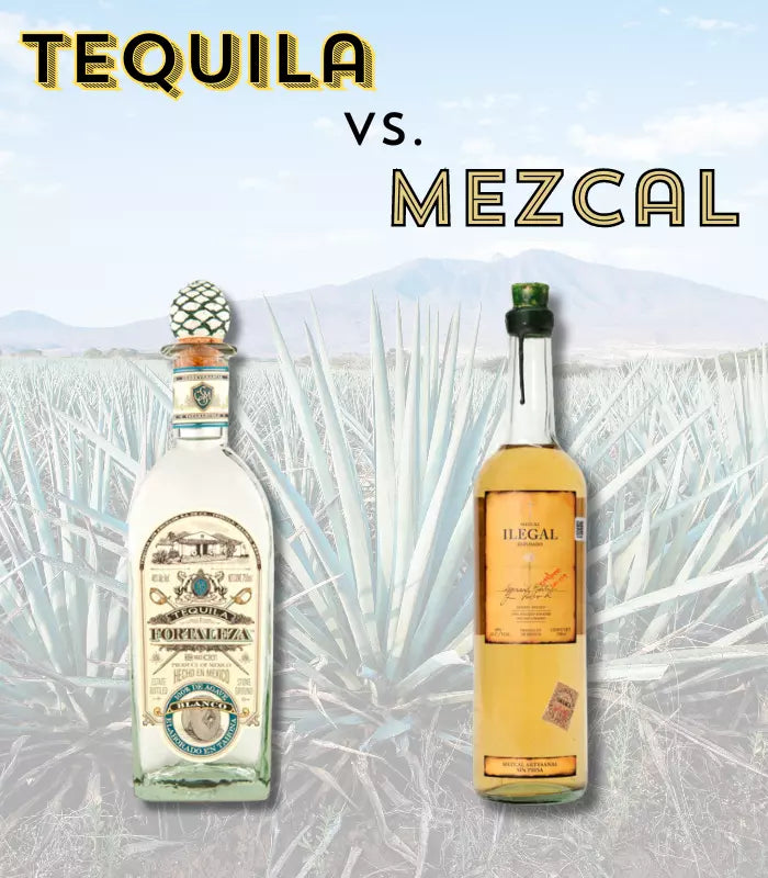 What’s the Difference between Tequila and Mezcal?