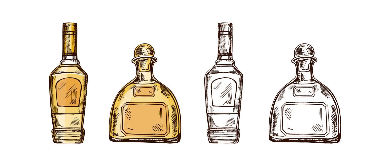 Understanding the Difference Between Different Tequilas
