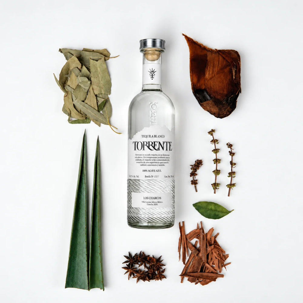 Torrente Tequila Blanco Flavor Notes Depicted in an image of the what the flavor includes hints of