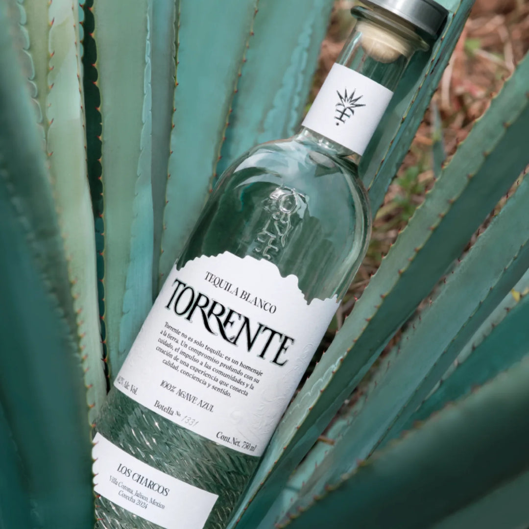 Torrente Tequila Blanco Bottle with Agave